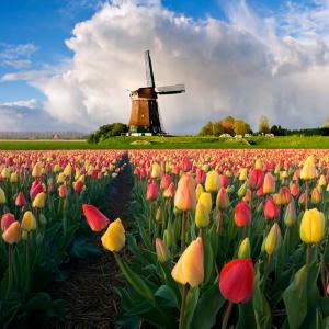 Виза в Нидерланды