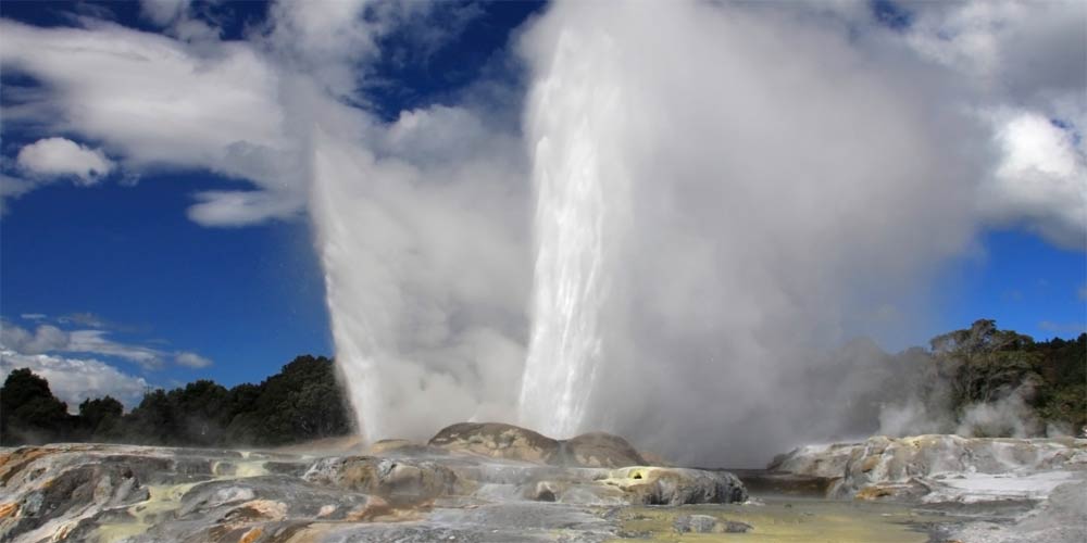 Виза в Новую Зеландию