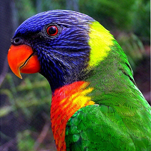 Виза в Коста-Рику